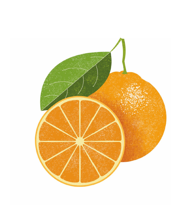 Orangescented Ricotta Cake