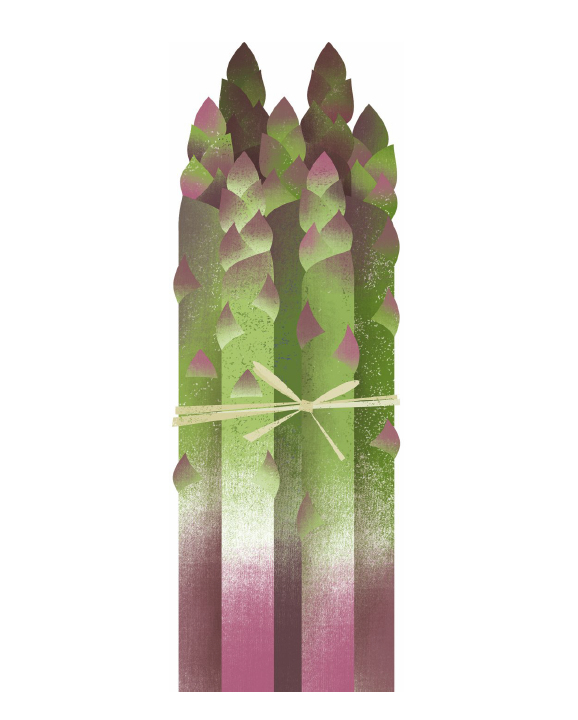 Tortelloni with mascarpone