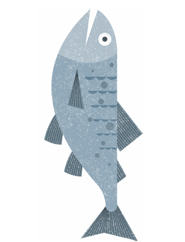 Line-caught sea bass fillet stack