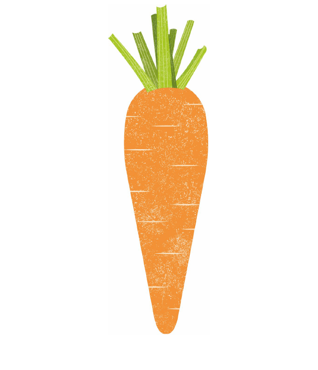 Carrot and Almond Cake