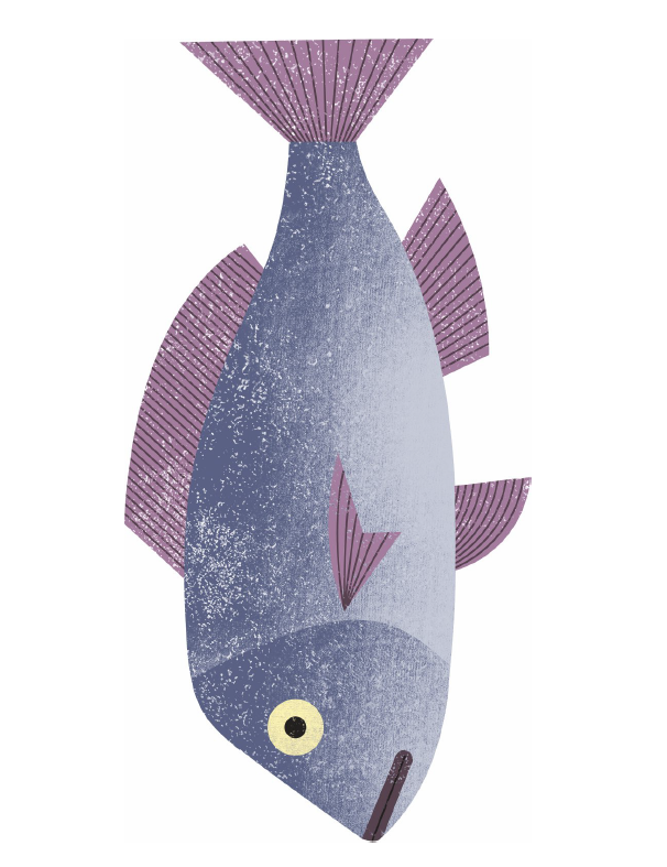 Carpaccio of snapper fish with dill