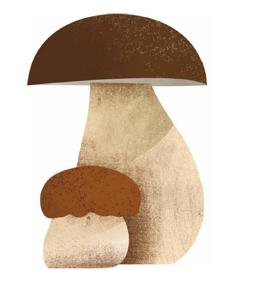 Tagliatelle with aromatic herbs