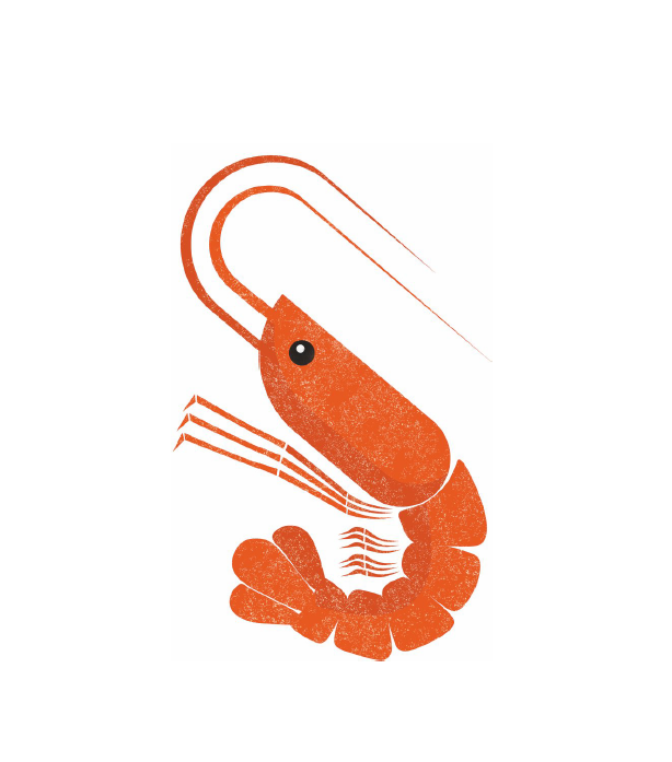 Risotto with king prawn tails