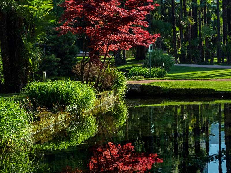 Du Lac et Du Parc Grand Resort - Il Resort