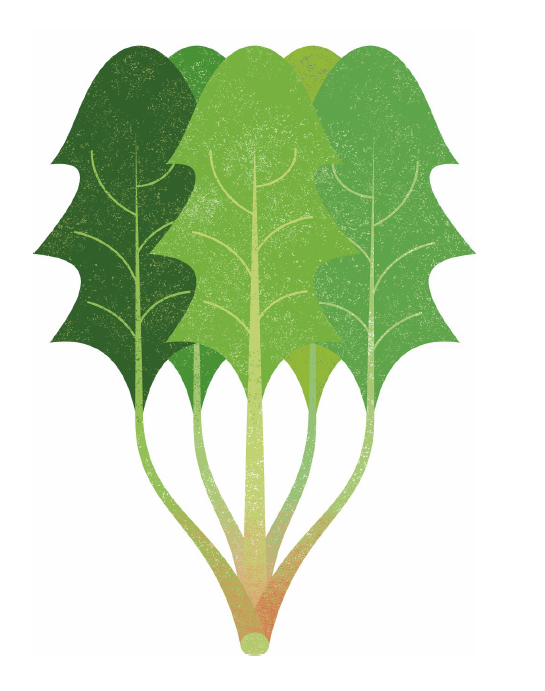 Strangolapreti trentini