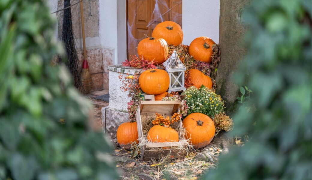 Halloween Special