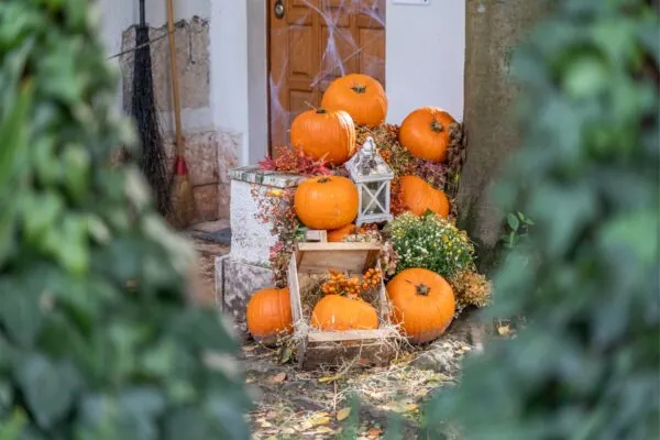Halloween Special