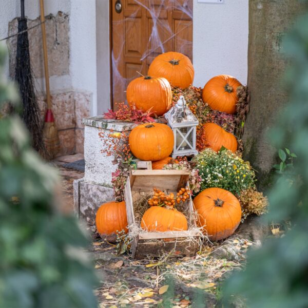 Halloween Special
