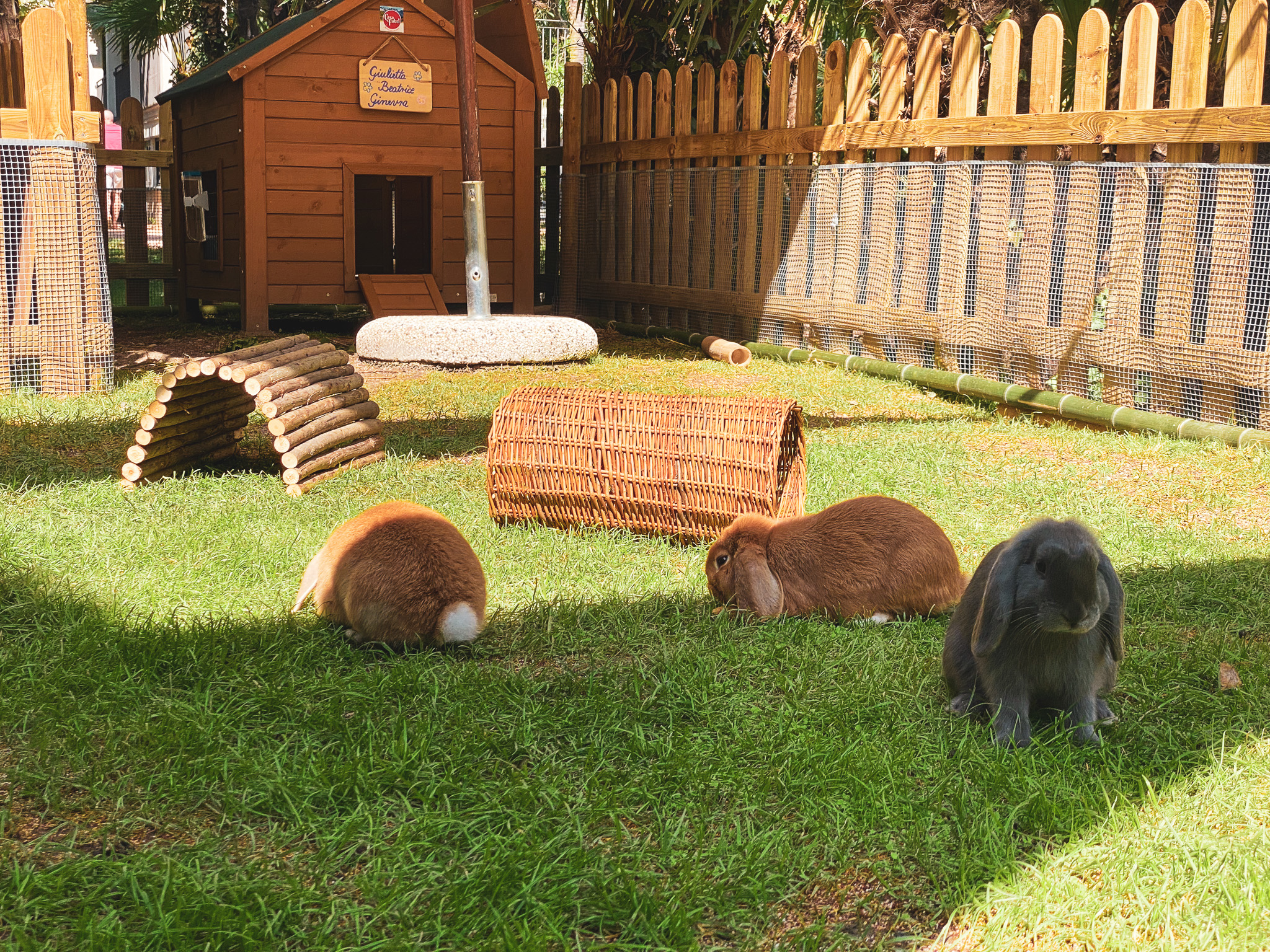 Beatrice, Ginevra e Giulietta