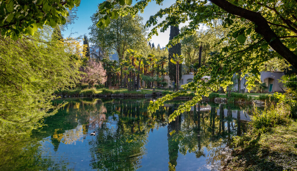 Du Lac et Du Parc Grand Resort - THE PARK