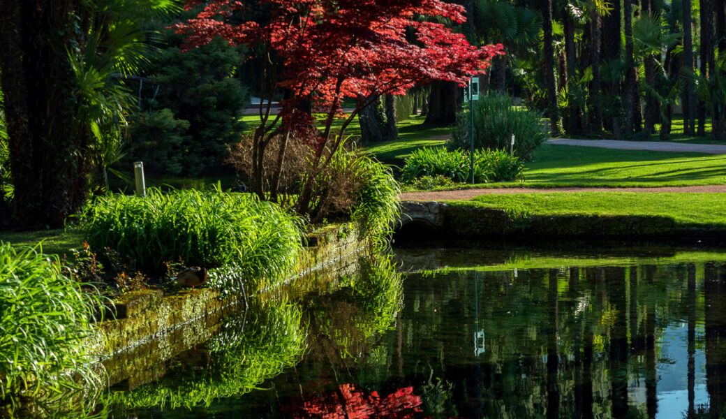 Du Lac et Du Parc Grand Resort - THE PARK