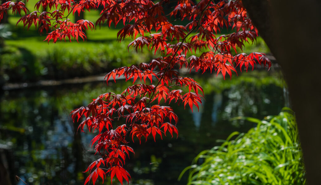 Du Lac et Du Parc Grand Resort - THE PARK