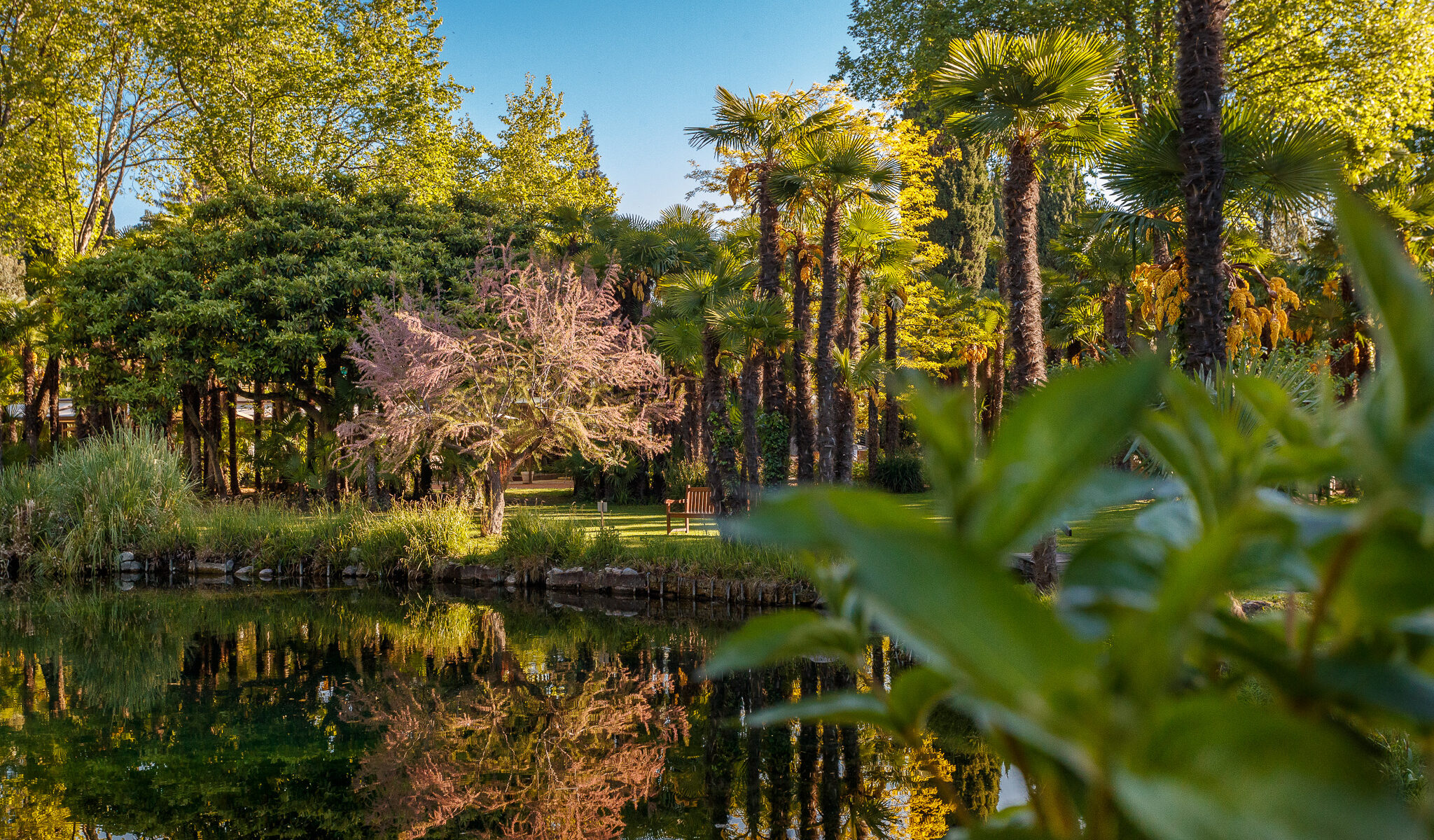 Du Lac et Du Parc Grand Resort
