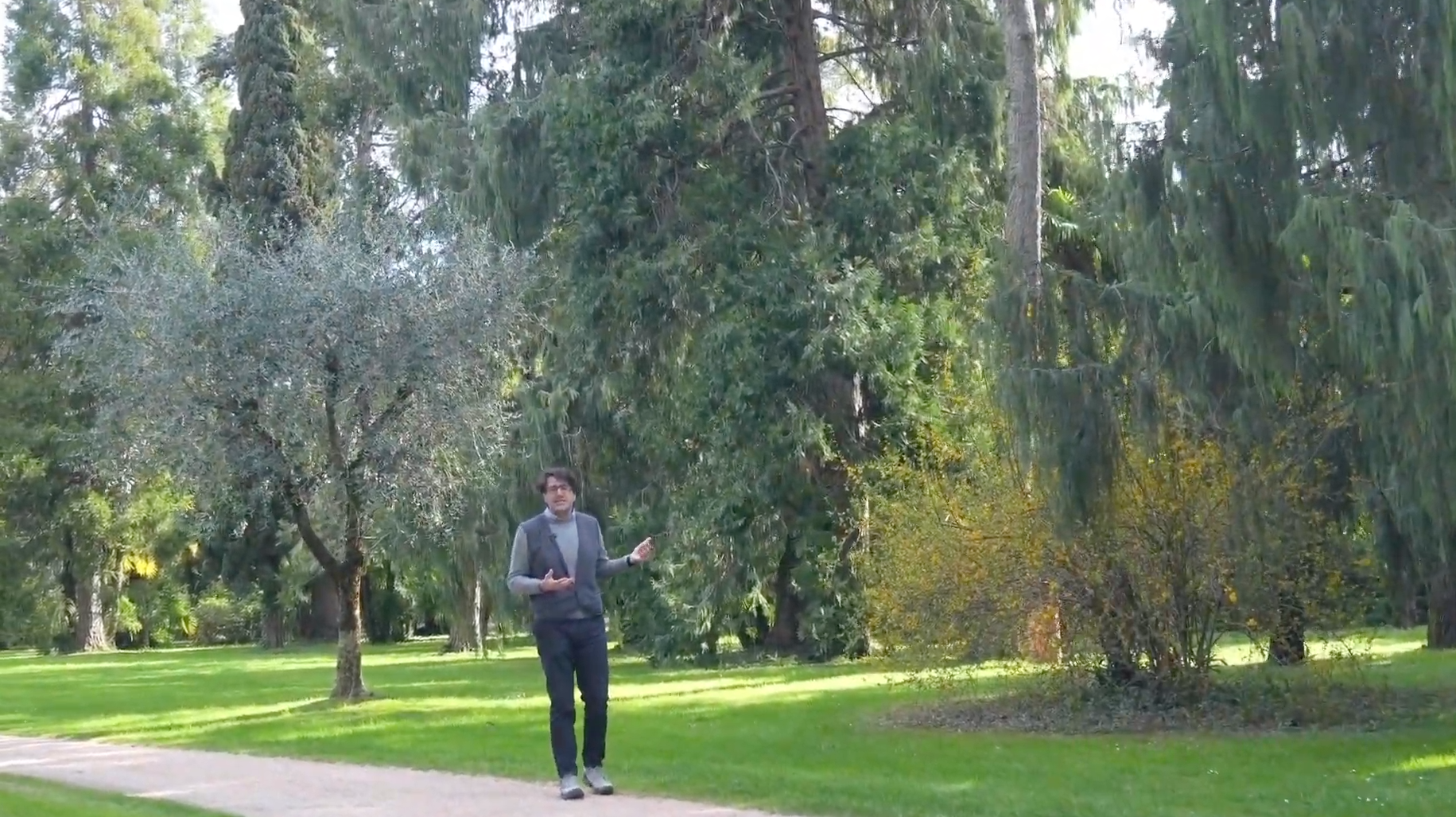 Un progetto ambizioso 