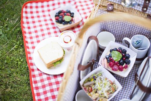 Picnic